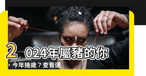 屬豬虛歲幾歲|【屬豬 年份】2024屬豬今年幾歲？屬豬年份年齡查詢，豬年性格。